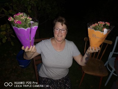 Švýcarská zemská enkláva Země Divokých krys